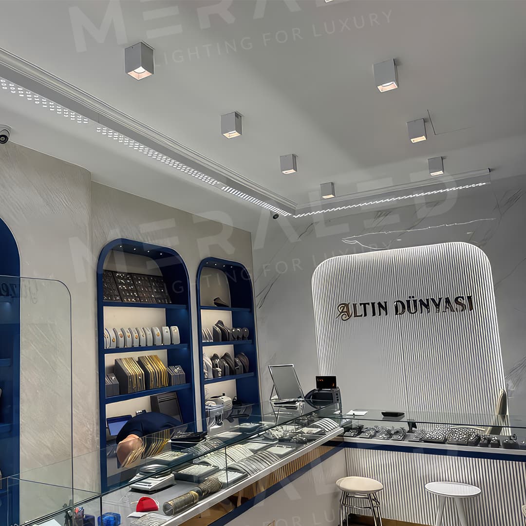 VEGA kullanım örneği 1